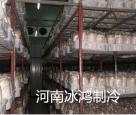 商丘食用菌冷庫