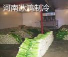蔬菜保鮮庫(kù)