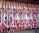 肉類(lèi)冷庫(kù)